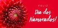 Feliz Dia dos Namorados! text in Portuguese: Happy ValentineÃ¢â¬â¢s Day! and bright red dahlia flower wide banner border frame Royalty Free Stock Photo